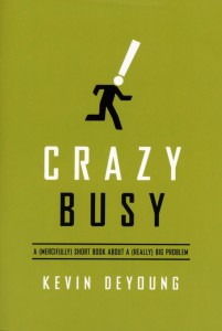 Crazy Busy book