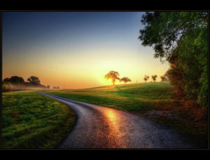 road-at-sunrise-laser-lovelyness-amplificated-saturated-editing-of-radiance