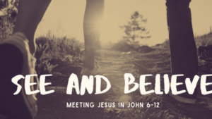 See and believe. Meeting Jesus in John 6-12